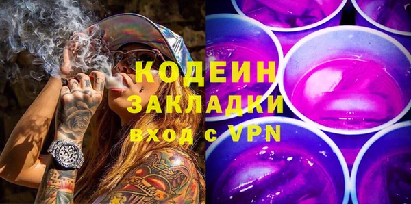 гидра Арсеньев