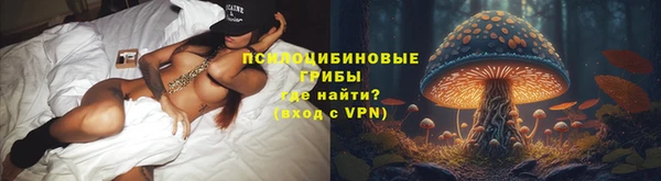 гидра Арсеньев